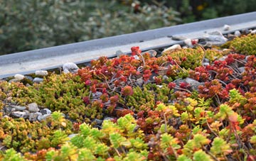 the cost of Scholar Green green roof installation