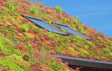 Scholar Green living roof systems