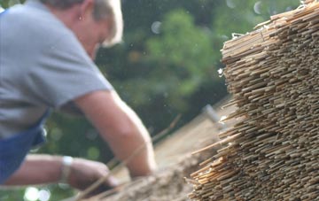 professional Scholar Green thatchers